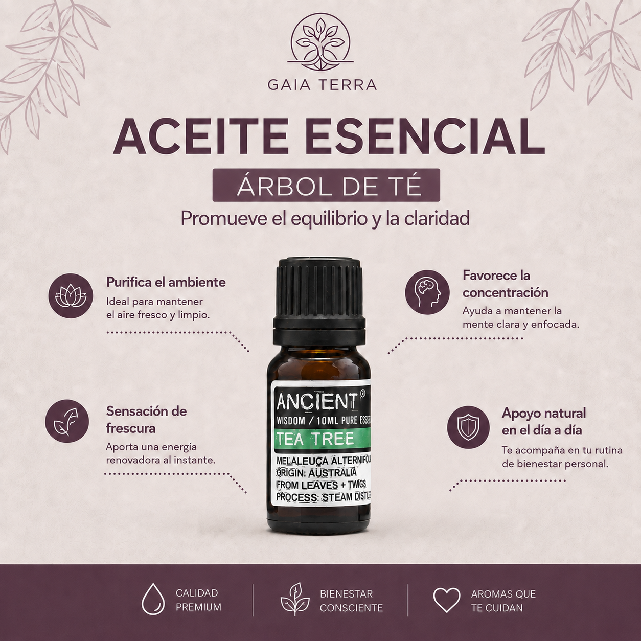 Aceite Esencial Árbol de té