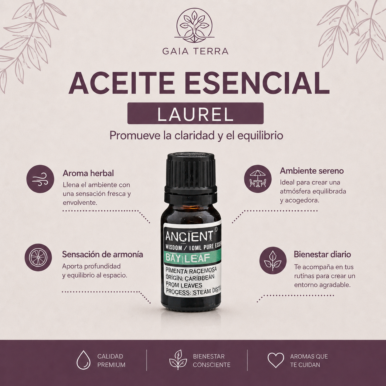 Aceite Esencial Laurel