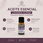 Aceite Esencial de Lavanda Alpina Alta 10ml