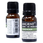 Aceite esencial orgánico - Jengibre